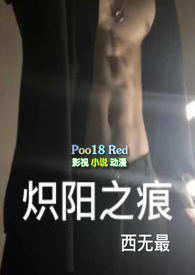 炽阳之痕一共多少章